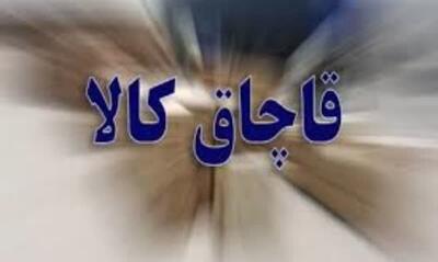 رسیدگی به ۳۰۰پرونده قاچاق کالا و ارز در کهگیلویه و بویراحمد طی دو ماهه امسال