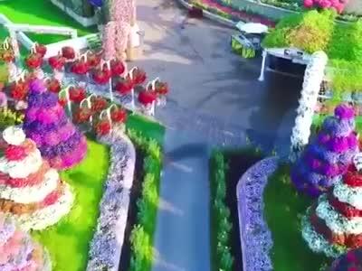 فومن جهنم دارد اما دبی رسما از بهشت رونمایی کرد | تصاویر بهشت دوبی را ببینید | 11 خرداد 1404