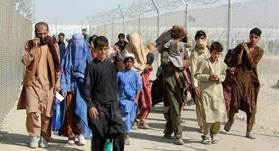 جمع‌آوری اتباع افغان توسط پلیس پایتخت | جهان نیوز