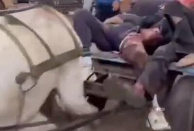 صبح خونین رفح با قتل‌عام فلسطینی‌های گرسنه