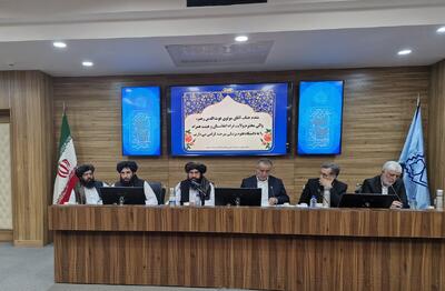 خراسان جنوبی آماده ارائه خدمات درمانی به بیماران افغانستانی است