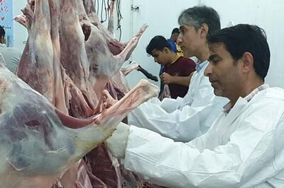 نذورات عید قربان برای توزیع بین مددجویان مازندران جمع آوری می‌شود