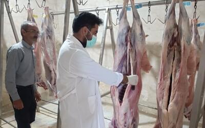 ۳۶ گروه نظارتی روز عید قربان ناظر ذبح دام در استان مرکزی هستند