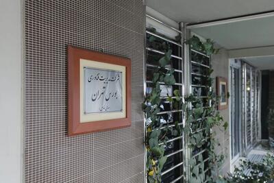 ۳۱ سال تپندگی