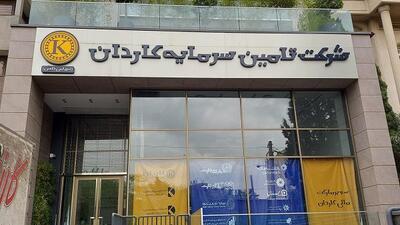 توقف نماد تکاردان به دلیل افشای اطلاعات با اهمیت گروه ب