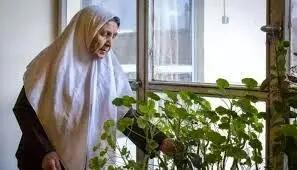 سرای سالمندی؛ رویارویی با روزگار تنهایی