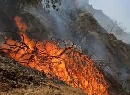 آتش‌سوزی در ارتفاعات کوه ماغر/ درخواست منابع طبیعی بهمئی برای مشارکت مردمی در مهار حریق