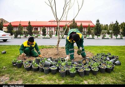 کاهش نگران‌کننده فضای سبز شهری؛ تولید گرما و آلودگی هوا - تسنیم