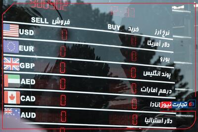 قیمت دلار امروز 11 خرداد 1404 / دلار در تله مذاکرات گرفتار شد