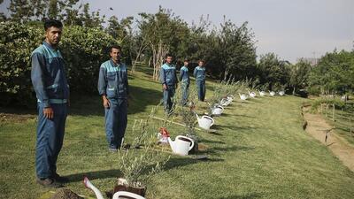 نقش آفرینی سرمایه های اجتماعی برای حفاظت از منابع طبیعی