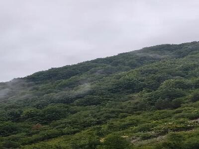 جنگل های دو هزار در شهسوار مازندران