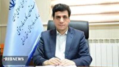 تمدید مهلت پرداخت تسهیلات مشاغل خانگی لرستان