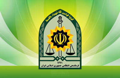 ورود پلیس پایتخت به مفقودی الهه حسین‌نژاد