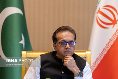 قدردانی سفیر پاکستان از اقدام پلیس ایران در آزادی اتباع این کشور