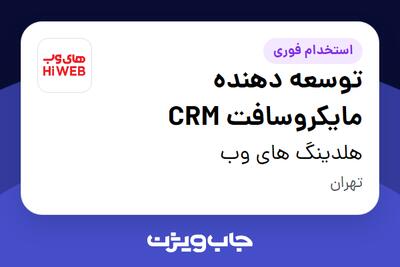 استخدام توسعه دهنده مایکروسافت CRM در هلدینگ های وب
