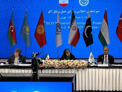 برق سیزدهمین اجلاس اکو در تهران در حضور مهمانان خارجی رفت/ ویدئو