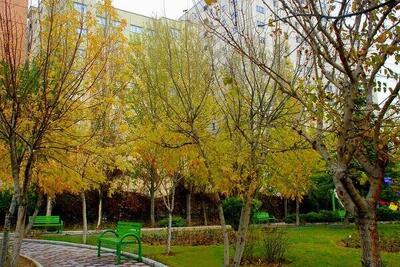 بوستان ملل در منطقه ۳ تهران افتتاح شد