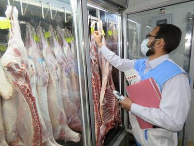 لاشه دام‌های ذبح شده، توسط دامپزشکان بررسی می‌شود