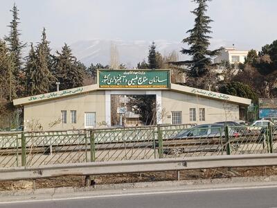 نویسندگان کارزار زیر تیغ شکایت
