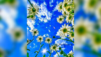 فال ابجد فردا / سه شنبه 13خرداد