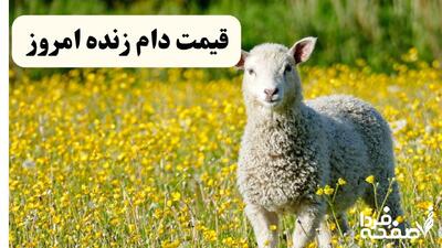 قیمت دام زنده امروز دوشنبه ۱۲ خرداد ۱۴۰۴ | گوساله چند؟ + جدول