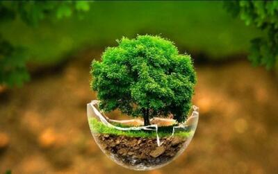 پروتکل مونترال از پروژه‌های زیست‌محیطی ایران حمایت مالی می‌کند