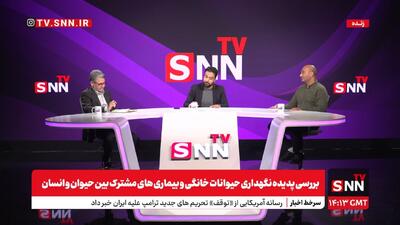پخش زنده بررسی پدیده نگهداری حیوانات خانگی و بیماری‌های مشترک بین حیوان و انسان در SNNTV