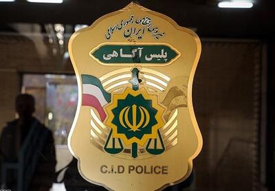 جستجوی فوری پلیس برای ناپدید شدن الهه حسین‌نژاد