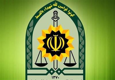 واکنش پلیس تهران به گمشدن   الهه حسین نژاد   - تسنیم
