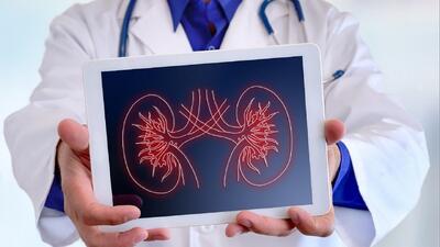 رژیم غذایی و پیشگیری از سنگ کلیه + فیلم