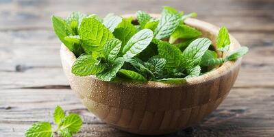 خواص نعناع به غیر از آنچه که تاکنون می‌دانستید