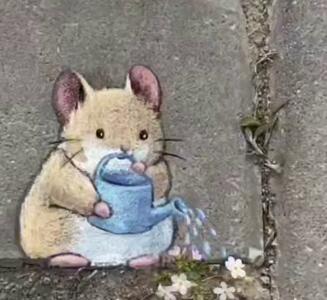 هنر نقاشی خیابانی