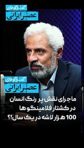 ماجرای نقش پررنگ انسان در کشتار فلامینگوها؛ 100 هزار لاشه در یک سال ؟! (فیلم)