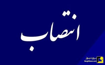 انتصاب مدیرعامل جدید شرکت توزیع برق استان زنجان