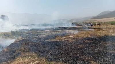 کنترل حریق در پارک  ملی گلستان