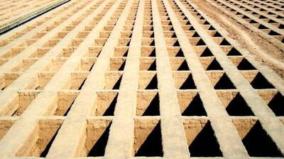 اختلاف نظر عجیب در مورد کمبود قبر در تهران