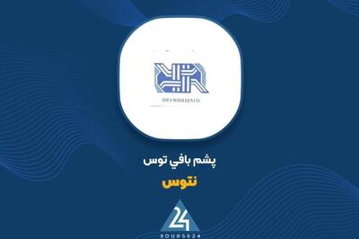 اظهار نظر حسابرس «نتوس» در خصوص افزایش سرمایه شرکت