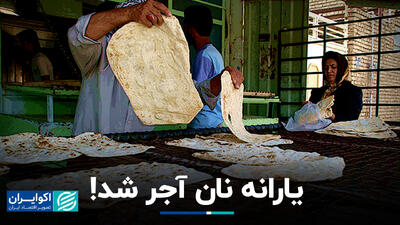 یارانه نان آجر شد!+ فیلم