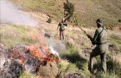 حریق گسترده در کوه‌ بمو شیراز مهار شد