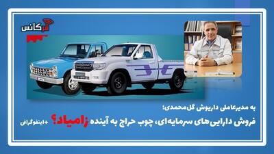 به مدیرعاملی داریوش گل‌محمدی؛ فروش دارایی‌های سرمایه‌ای، چوب حراج به آینده زامیاد؟ + اینفوگرافی