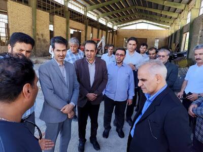 معاون وزیر صمت: مشکلات شهرک صنعتی لردگان رفع می‌شود