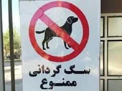سگ‌گردانی در کرمان ممنوع شد / خودروی حامل سگ توقیف می‌شود