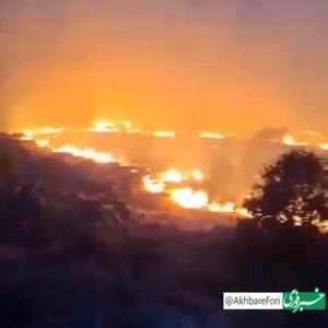آتش‌سوزی در جنگل‌های بلوط ارتفاعات دالاهو در کرمانشاه