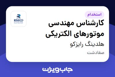 استخدام کارشناس مهندسی موتورهای الکتریکی - آقا در هلدینگ رایزکو
