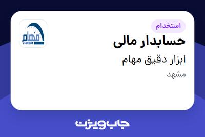 استخدام حسابدار مالی در ابزار دقیق مهام
