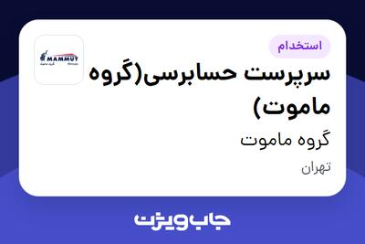 استخدام سرپرست حسابرسی(گروه ماموت) در گروه ماموت