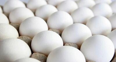 خرج ماهانه یک خانواده فقط با خوردن نان و تخم مرغ
