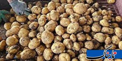 شناسایی و احضار دلالان بازار سیب زمینی در گلستان