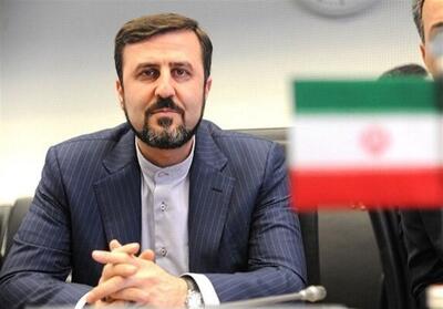 غریب آبادی: اقدام سیاست زده همکاری با آژانس را مشکل می‌کند - تسنیم