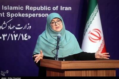 مهاجرانی: امید دولت به رای اعتماد مجلس به مدنی‌زاده برای وزارت اقتصاد است